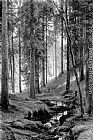 Stream by a Forest Slope by Ivan Shishkin